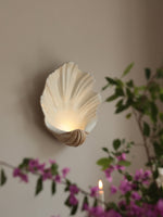 Shell Wall Sconce