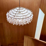 Round Shell Chandelier