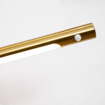 Stag Horn Plug-in Wall Light