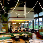 Flexible Curve Pendant Lamp – Adjustable Modern Ceiling Light