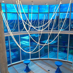 Flexible Curve Pendant Lamp – Adjustable Modern Ceiling Light
