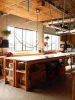 Flexible Curve Pendant Lamp – Adjustable Modern Ceiling Light