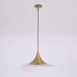 Semi Swag Pendant Light