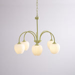 Tulip Matcha Chandelier