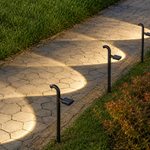 Veyra Solar Pathway Light