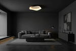 Nova Ceiling Light - Black - Moody Living Room